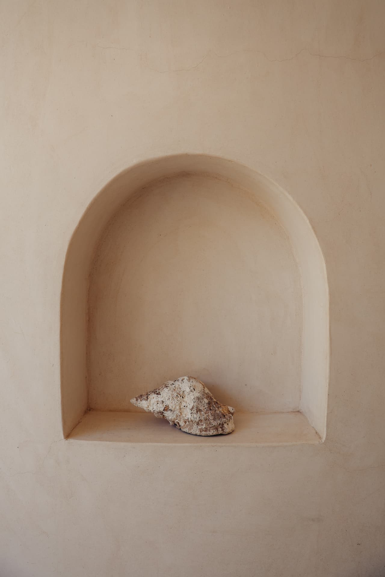 Conch shell in a soft plastered arch niche
